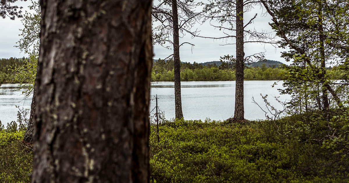 Vapaa-ajan asukkaat — Lapin Jätehuolto kuntayhtymä Lapeco